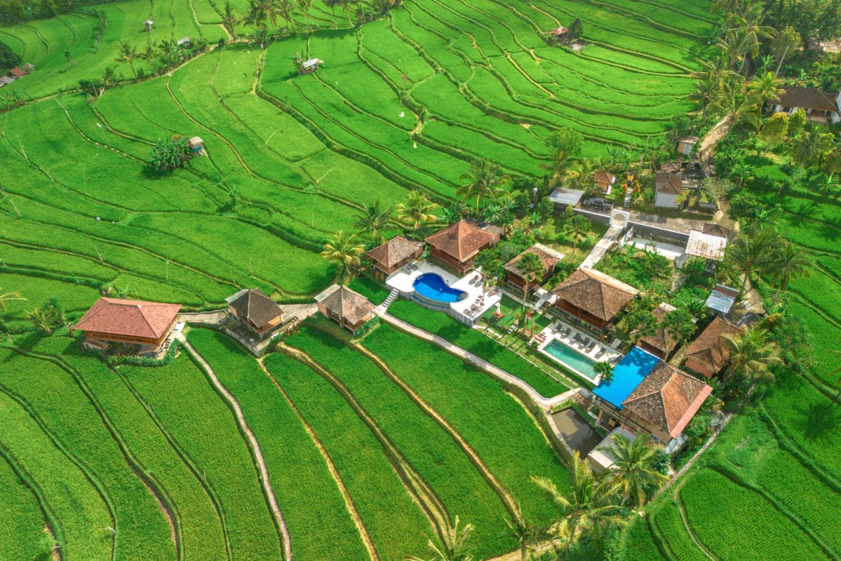 Villa Sande Munduk Exterior foto