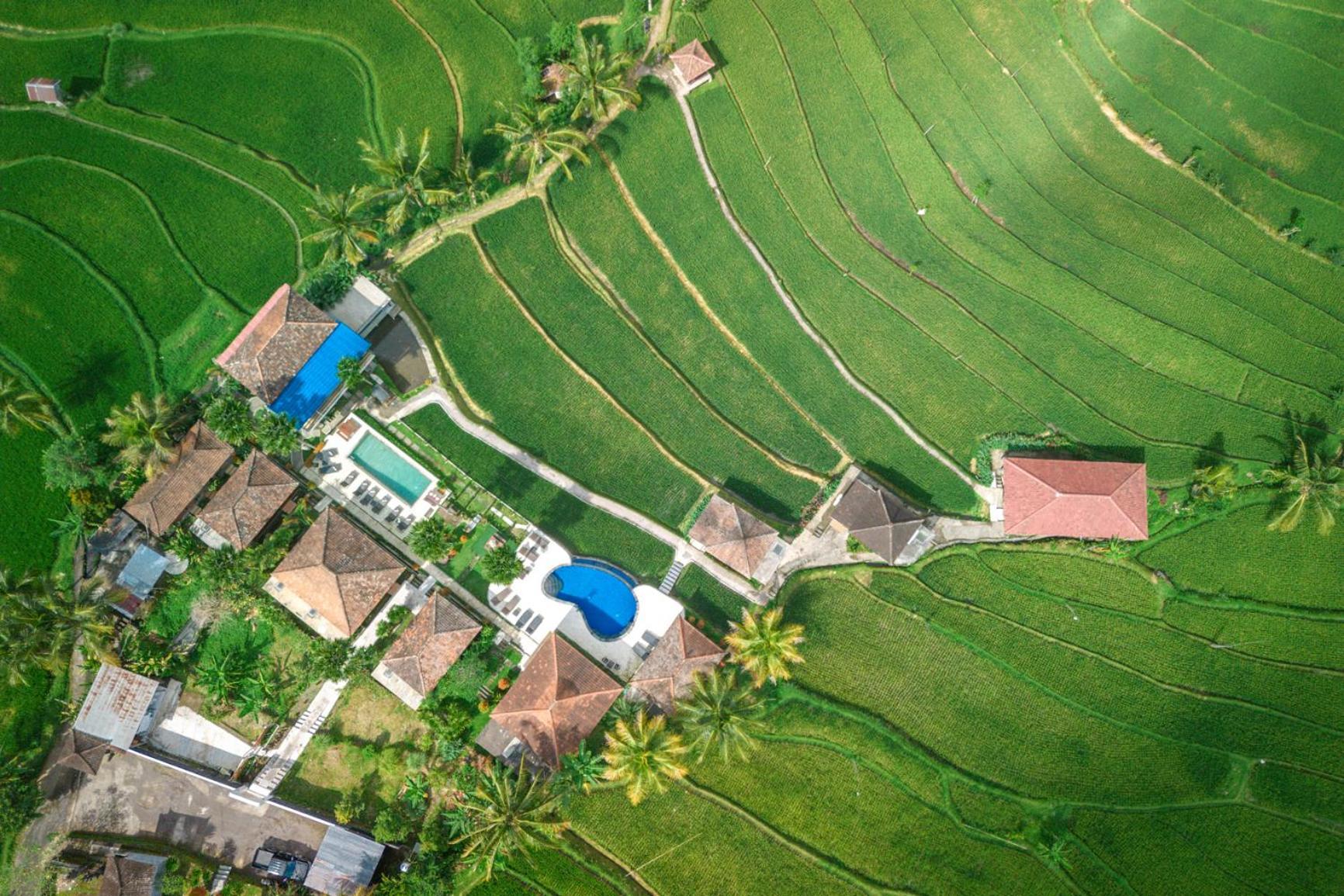 Villa Sande Munduk Exterior foto