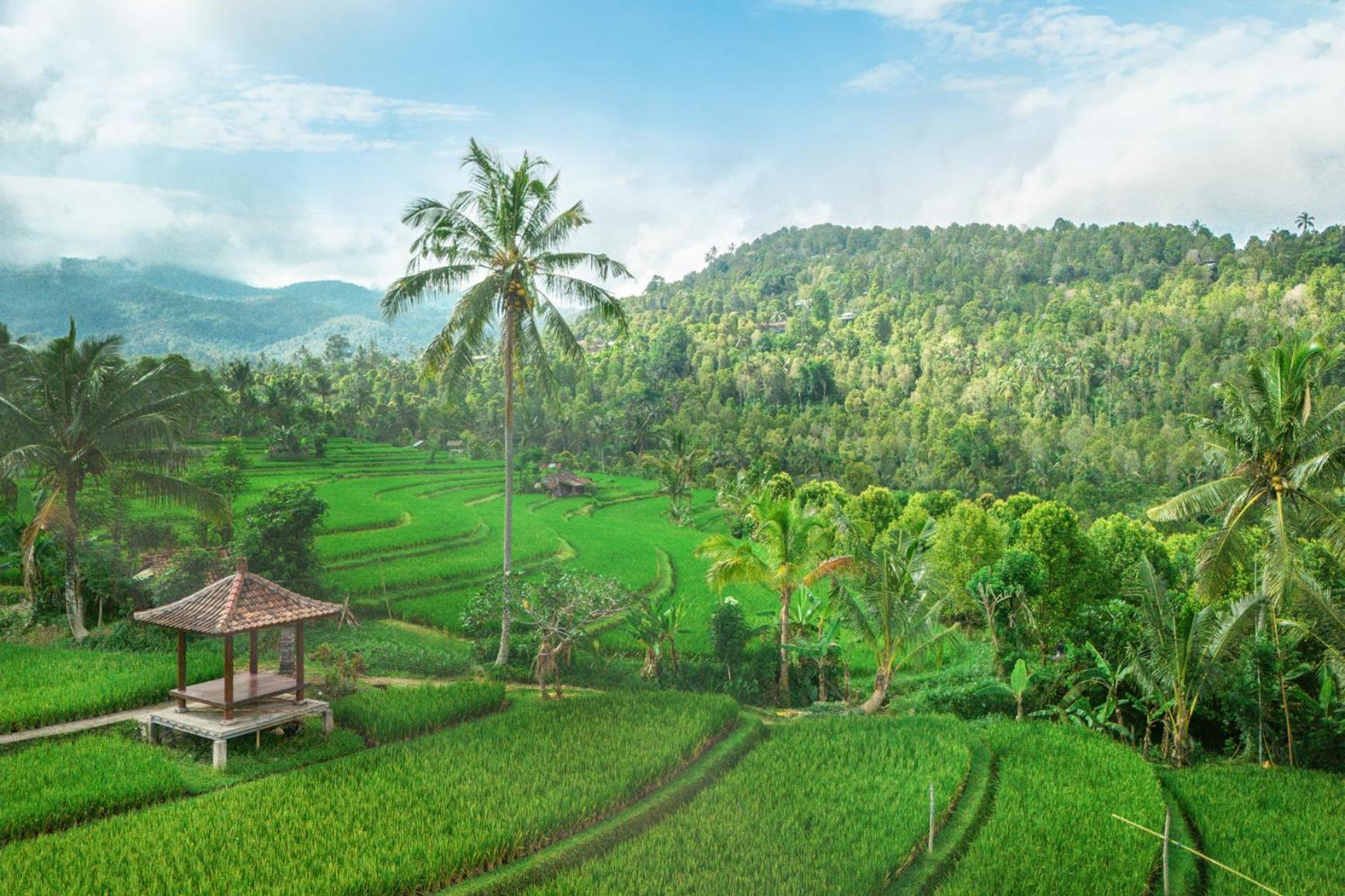 Villa Sande Munduk Exterior foto